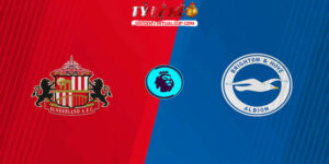 sunderland vs brighton